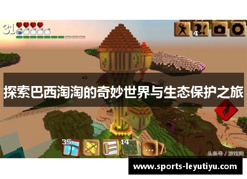探索巴西淘淘的奇妙世界与生态保护之旅