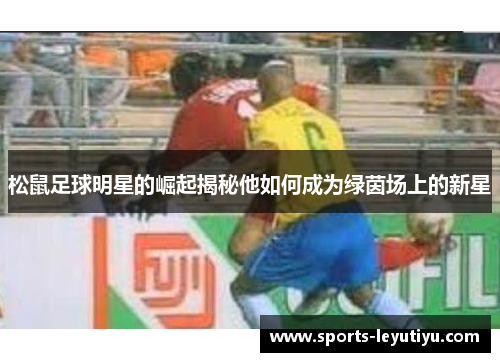 松鼠足球明星的崛起揭秘他如何成为绿茵场上的新星