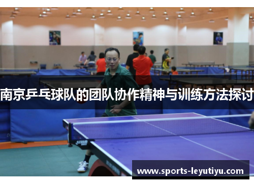 南京乒乓球队的团队协作精神与训练方法探讨